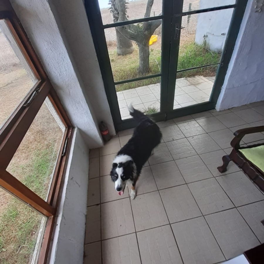 16 Bedroom Property for Sale in Trekoskraal Western Cape